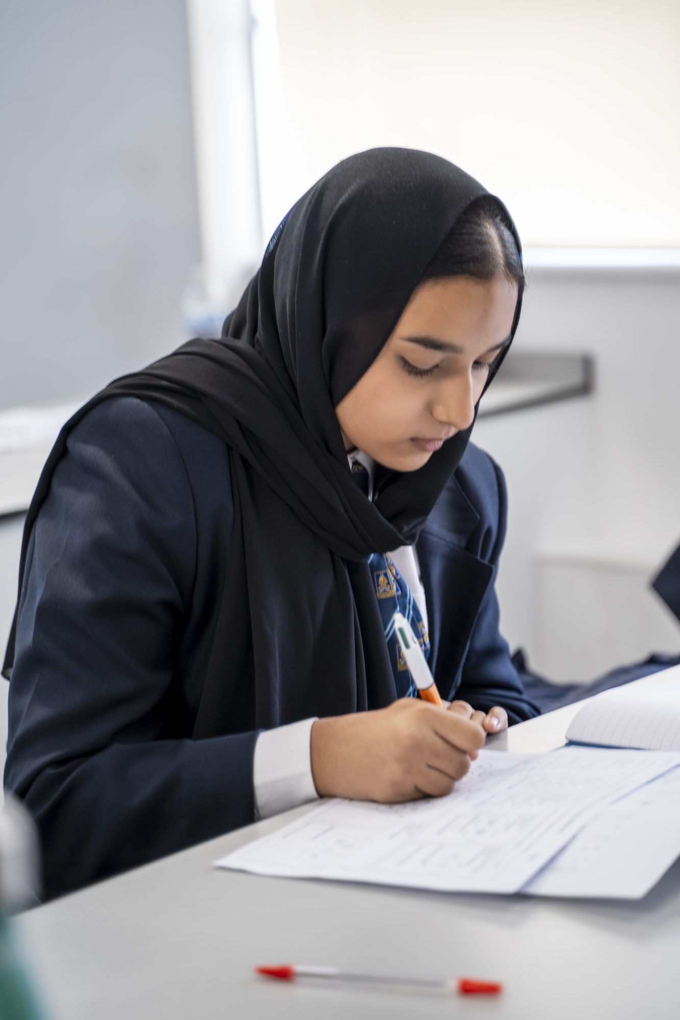 Bluecoat Academy — school photograph 114