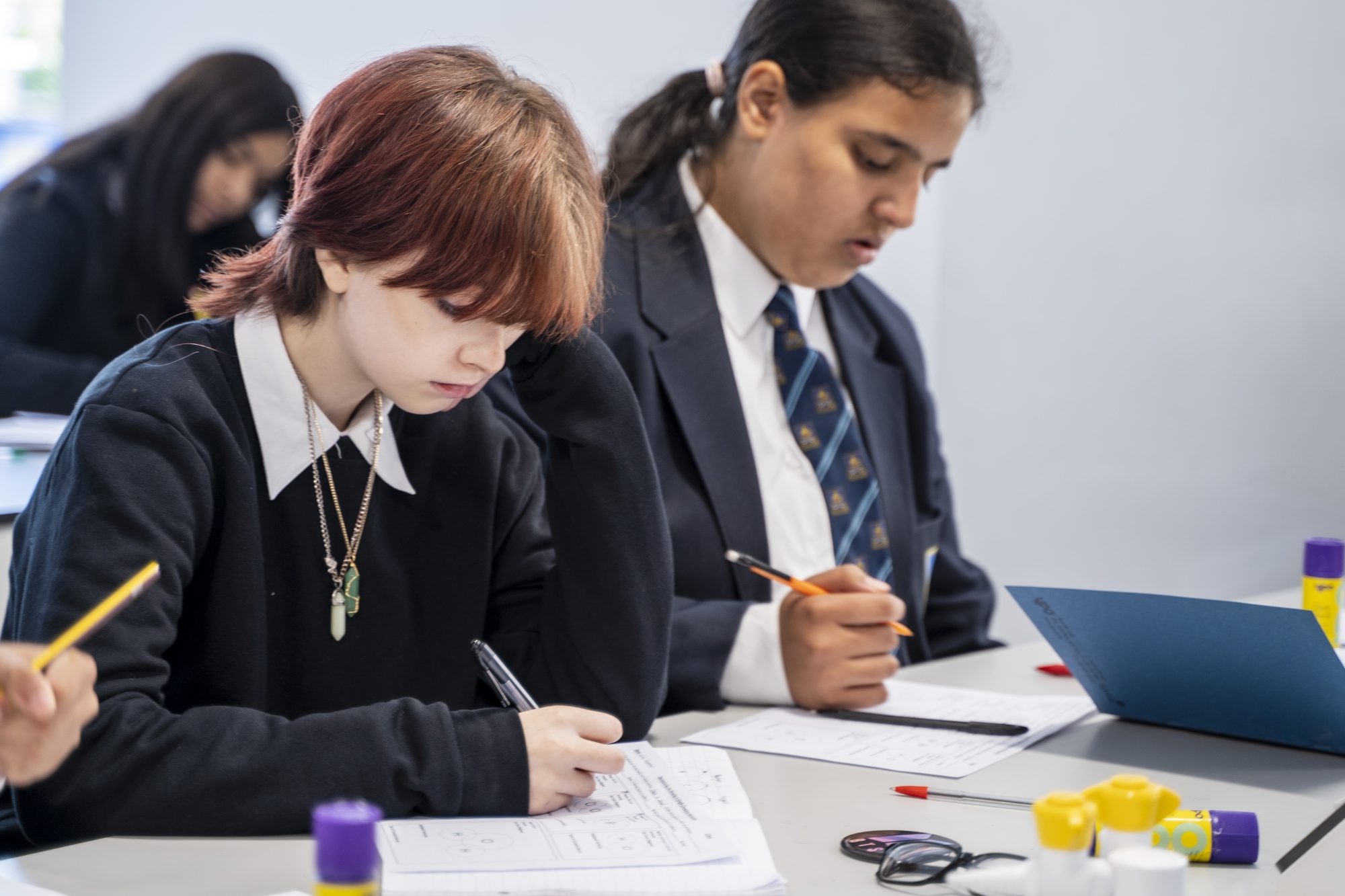 Bluecoat Academy — school photograph 117