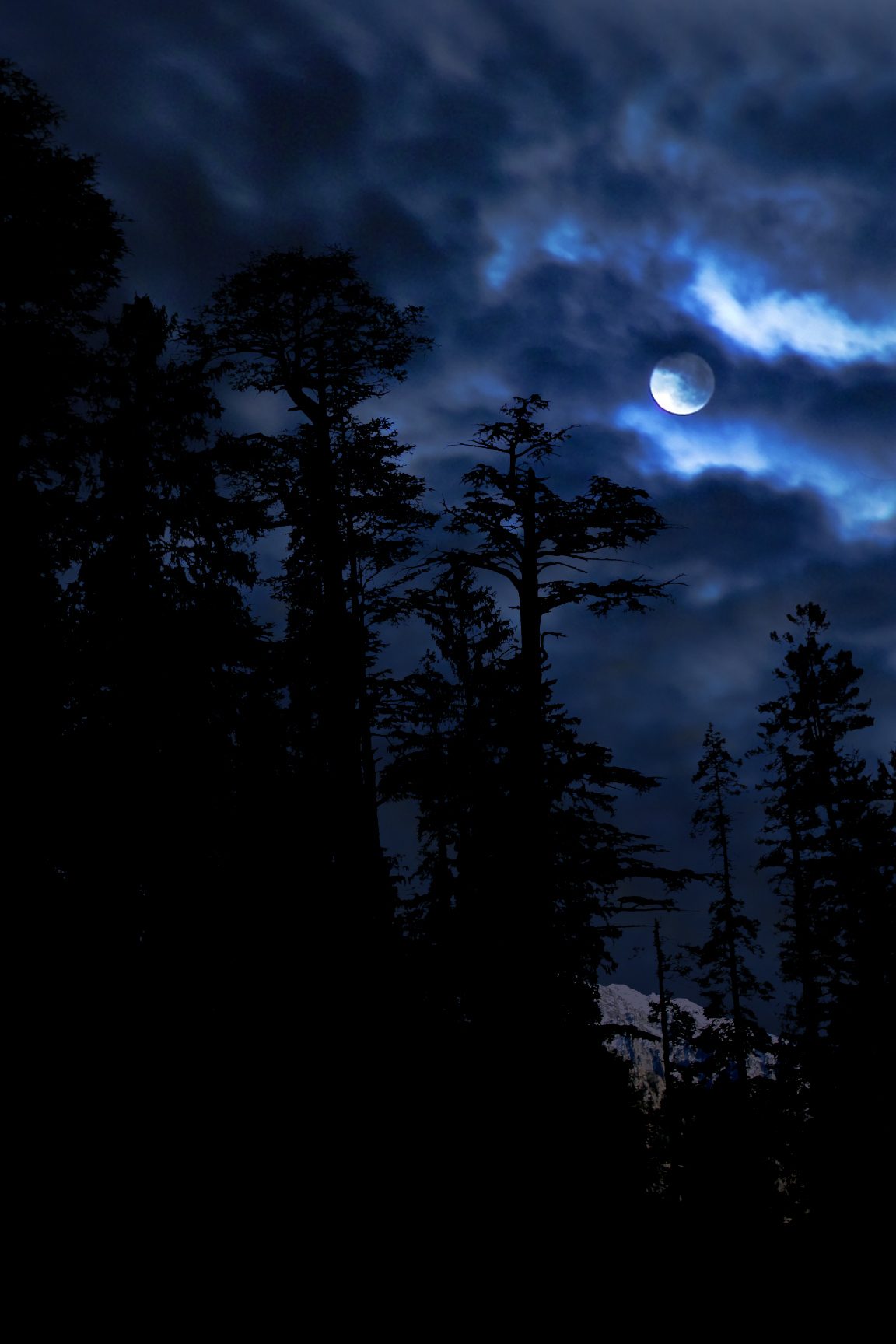 Miscellaneous — nature & landscape photograph 2